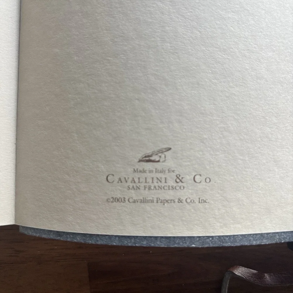 Cavallini & Co. broken strap